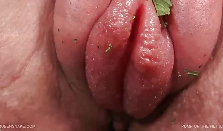 سبزه را در جوراب ساق بلند سرخ کرد. کلیپ س عربی