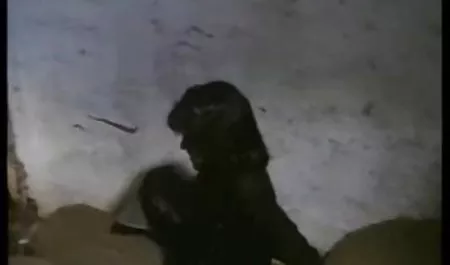 زن آلمانی کلیپ س ک ۳۰ با لباس زیر مشکی در خیابان رابطه جنسی دارد