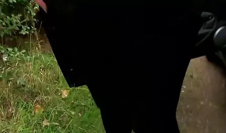 دانشجوی روسی الاغ محکم به همکلاسی داستان س ضربدری خود می دهد